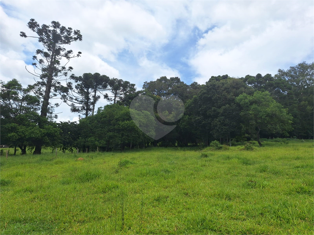 Excelente oportunidade em Extrema/MG - Sítio á venda