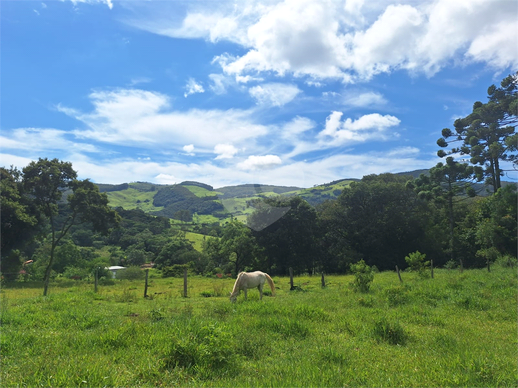 Excelente oportunidade em Extrema/MG - Sítio á venda
