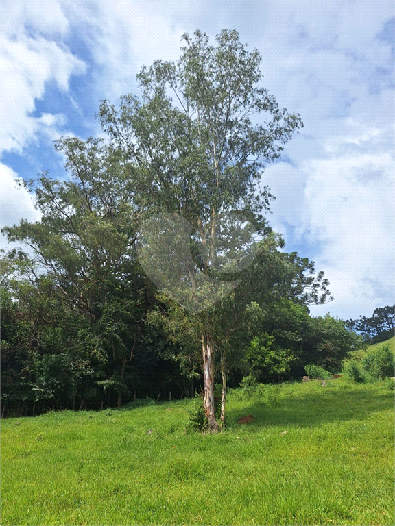 Excelente oportunidade em Extrema/MG - Sítio á venda