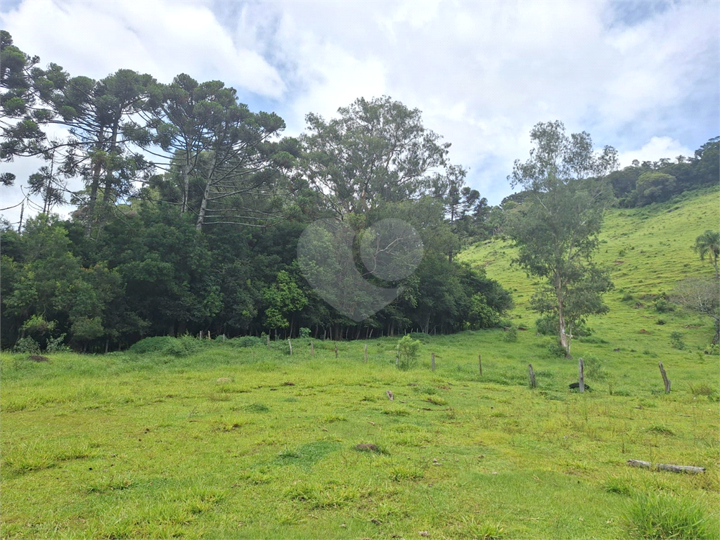 Excelente oportunidade em Extrema/MG - Sítio á venda