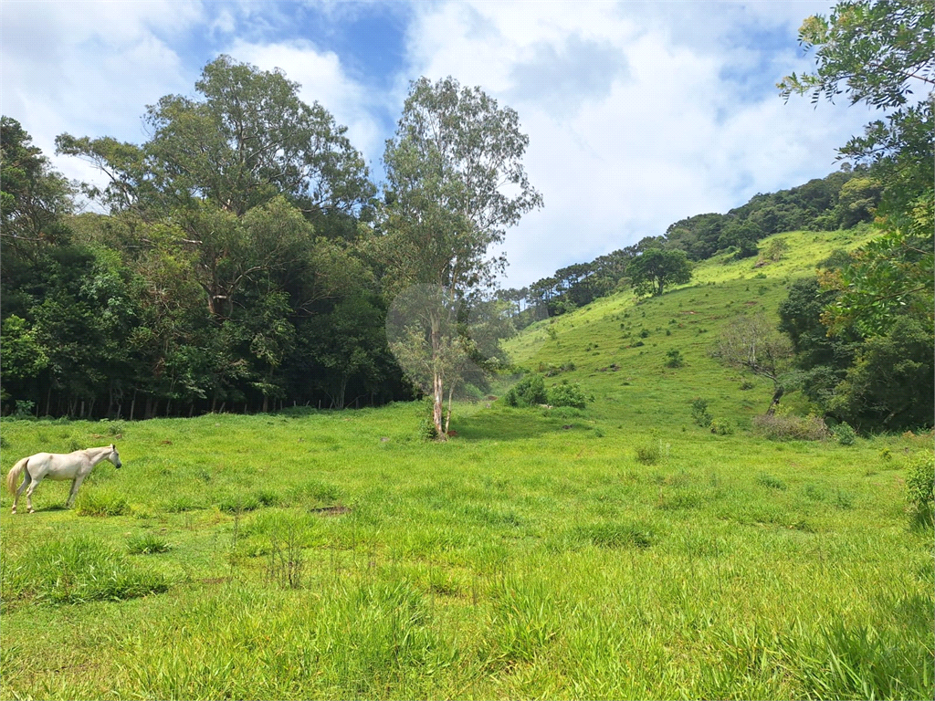Excelente oportunidade em Extrema/MG - Sítio á venda