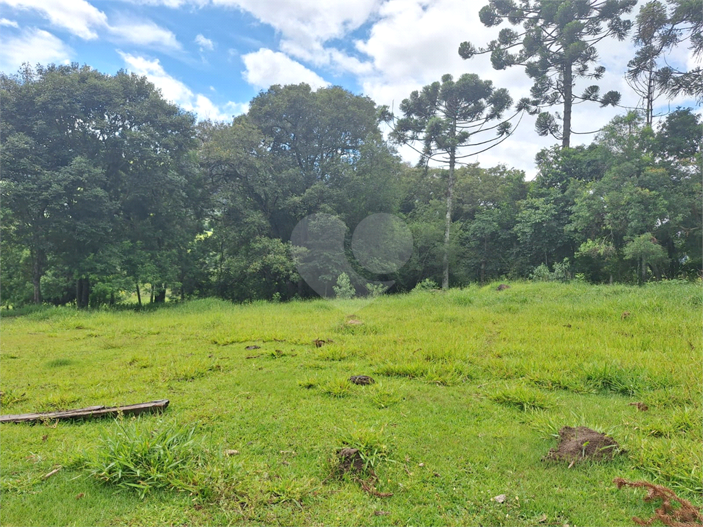 Excelente oportunidade em Extrema/MG - Sítio á venda