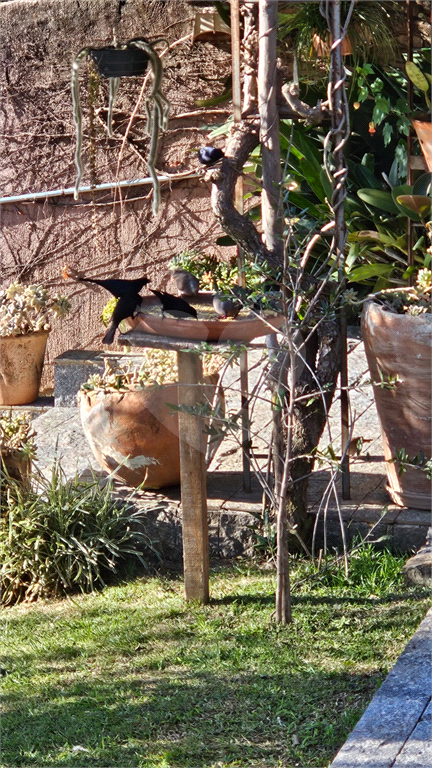 Casa, 4 quartos, 194 m² - Foto 30