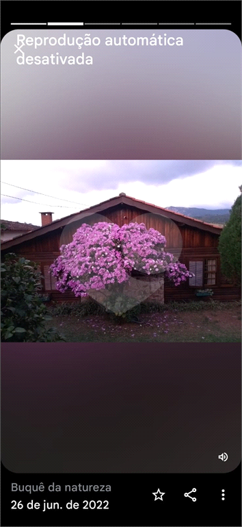 Casa, 4 quartos, 194 m² - Foto 13