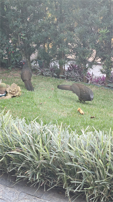 Casa, 4 quartos, 194 m² - Foto 22