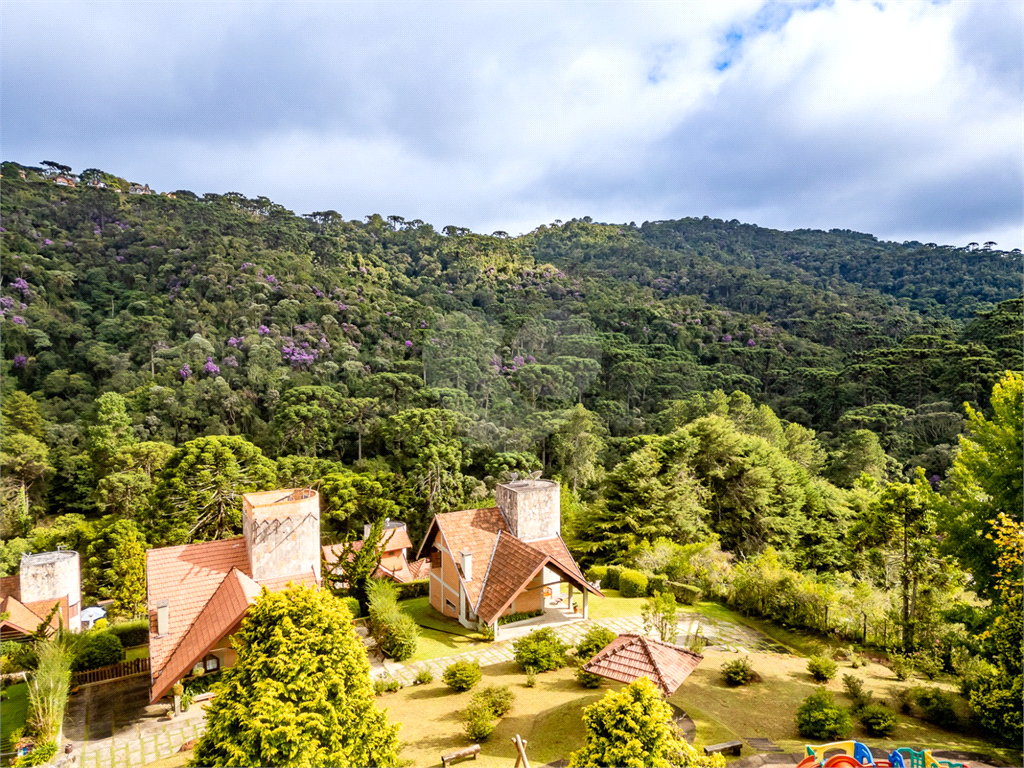Casa de Condomínio - Campos do Jordão - 3 Quartos - Venda / Compra