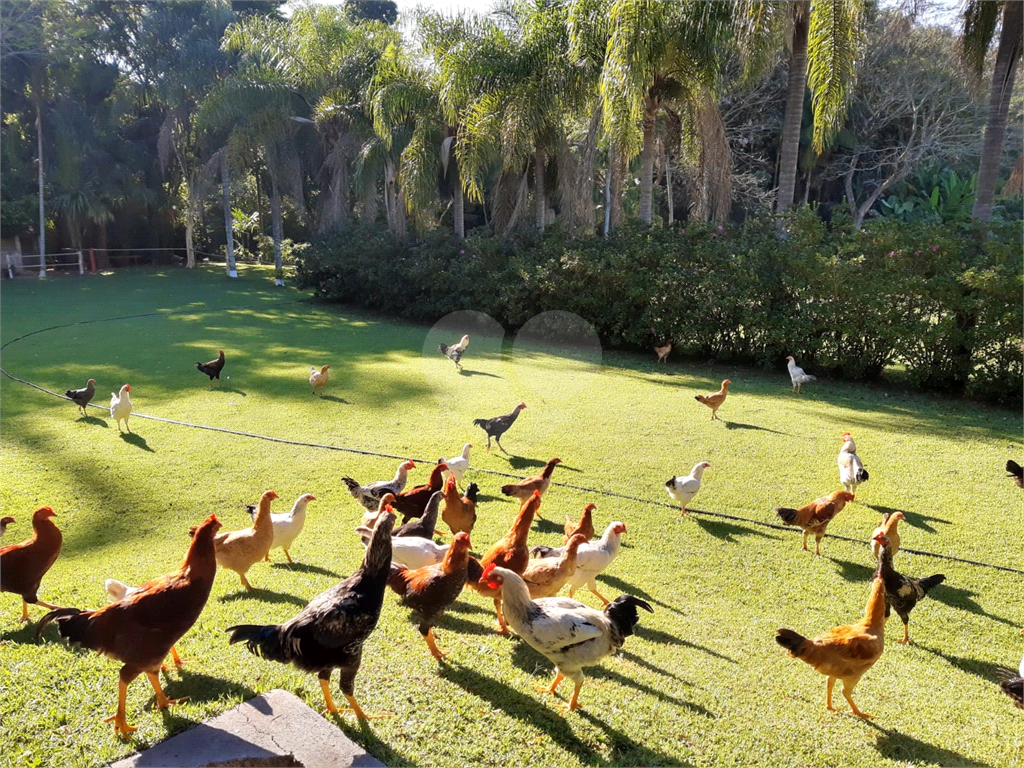  Chácara à Venda e Locação em Louveira/SP – Bairro Monterrey 
