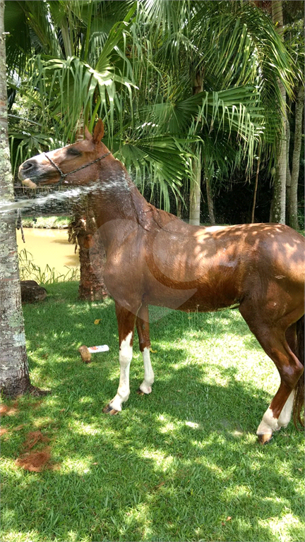  Chácara à Venda e Locação em Louveira/SP – Bairro Monterrey 