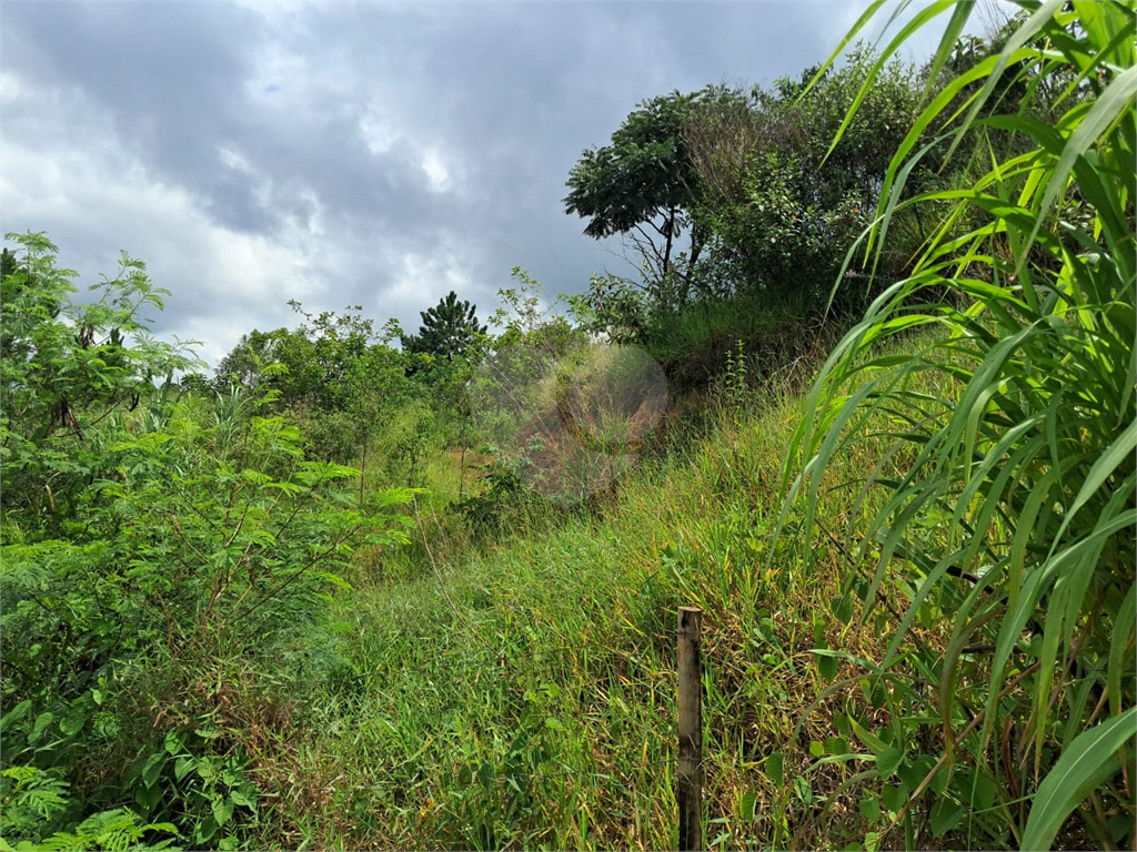 Terreno, 1007 m² - Foto 8