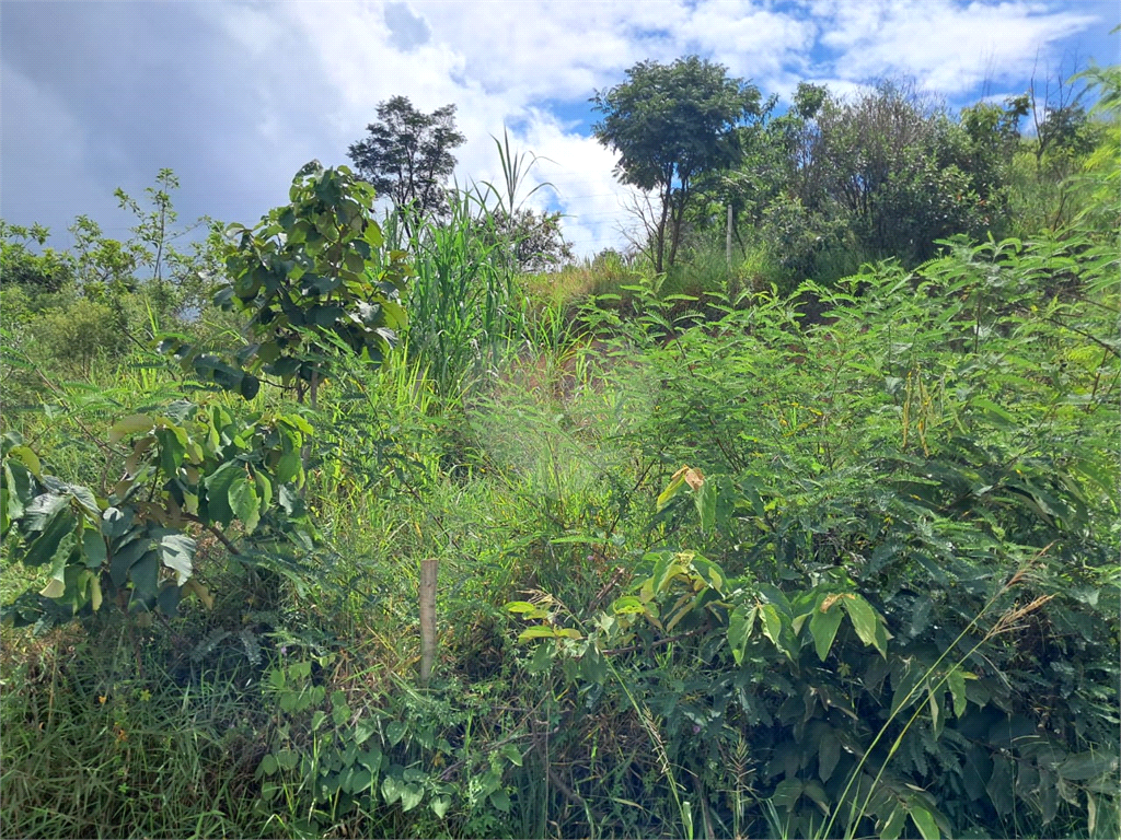 Terreno, 1007 m² - Foto 5