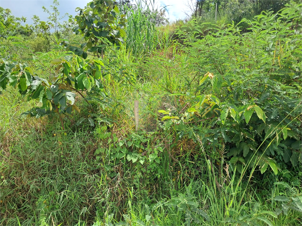 Terreno, 1007 m² - Foto 7