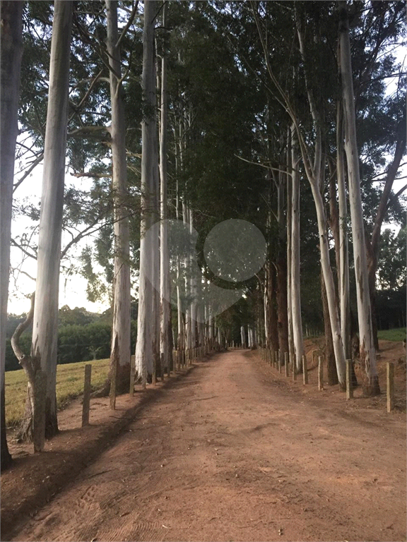 Fazenda à venda na região de Campinas