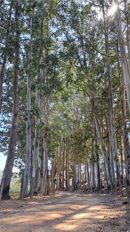 Fazenda à venda na região de Campinas