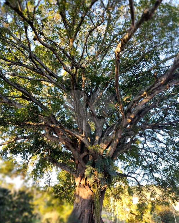 Fazenda à venda na região de Campinas