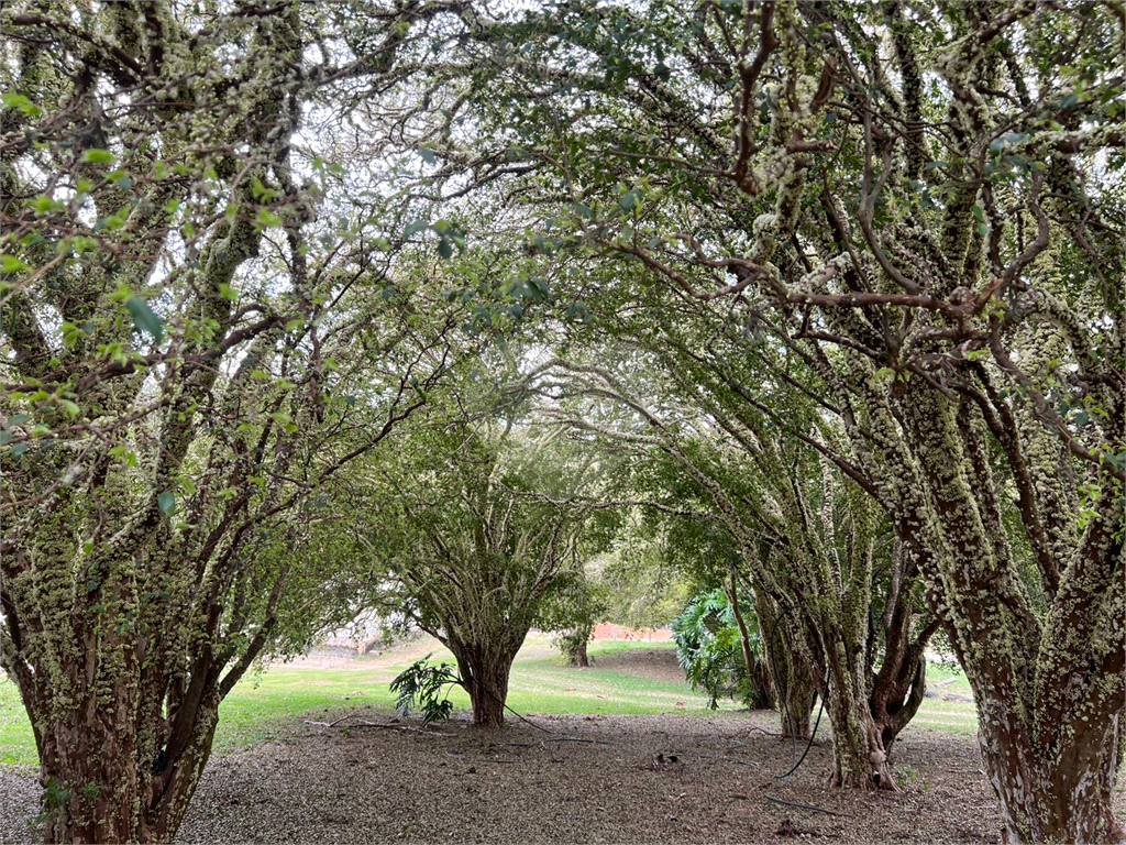 Fazenda à venda na região de Campinas