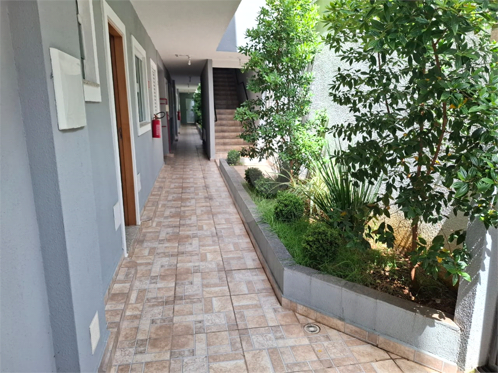 Excelente Apartamento Novo com  Vila Monumento 01 Dormitório