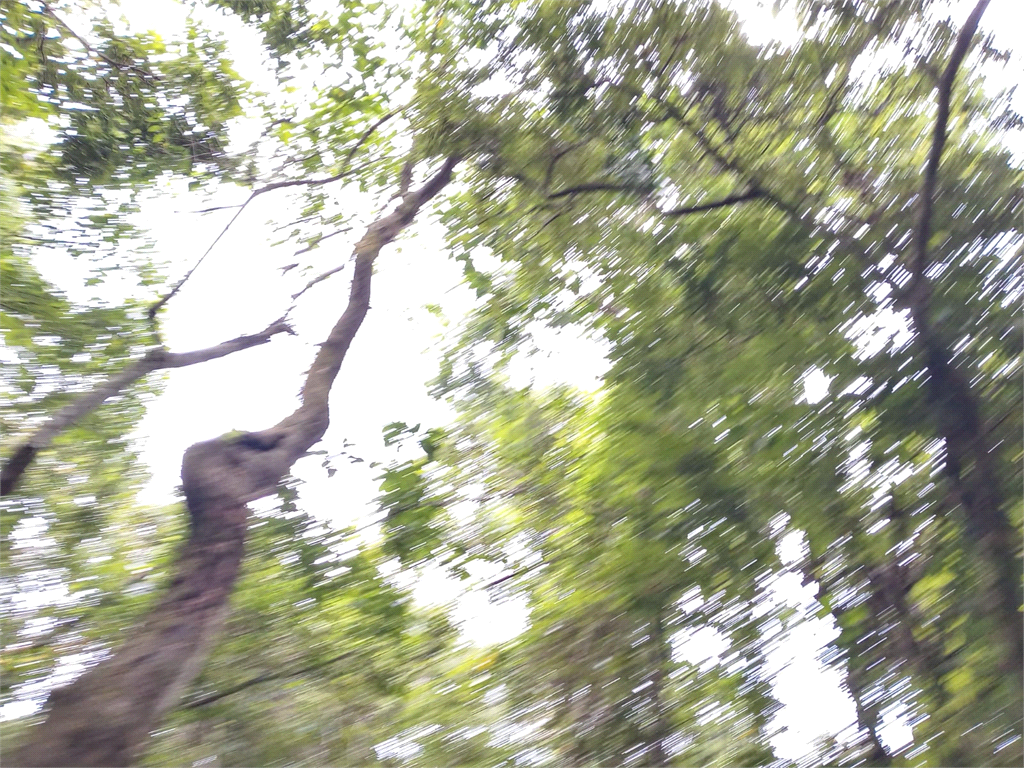 Casa de Condomínio - Foto 4