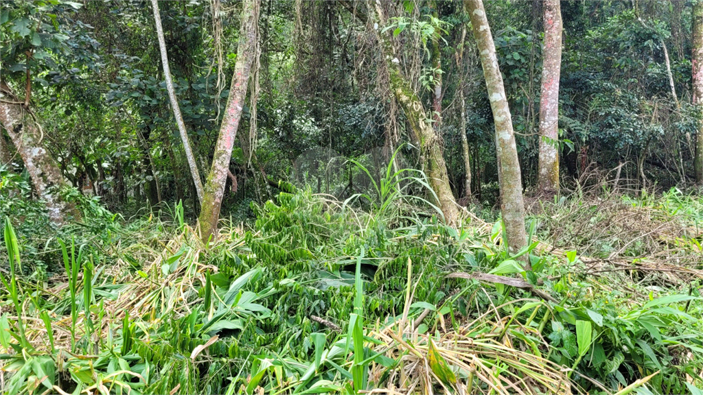 Casa de Condomínio - Foto 19