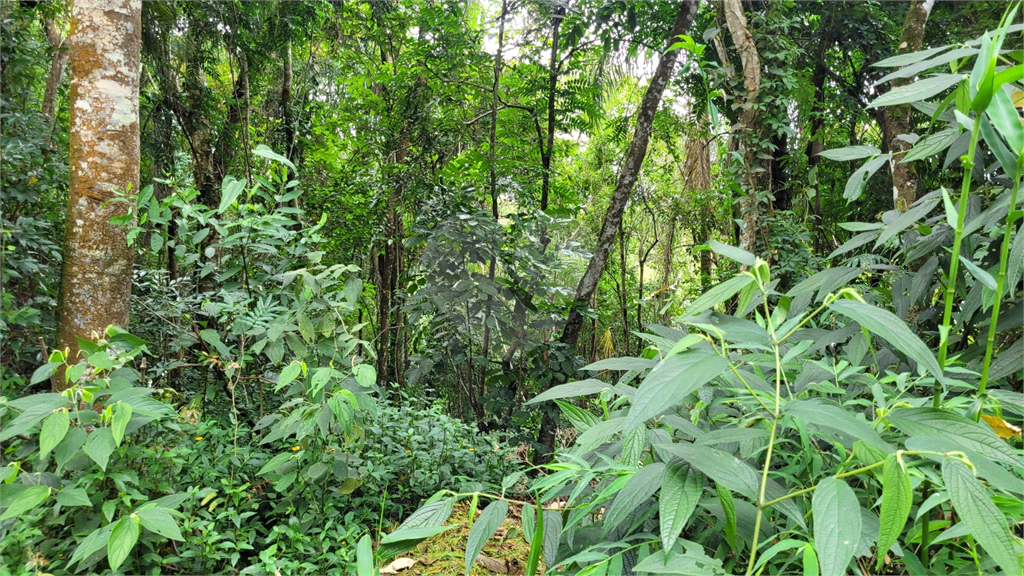 Casa de Condomínio - Foto 11