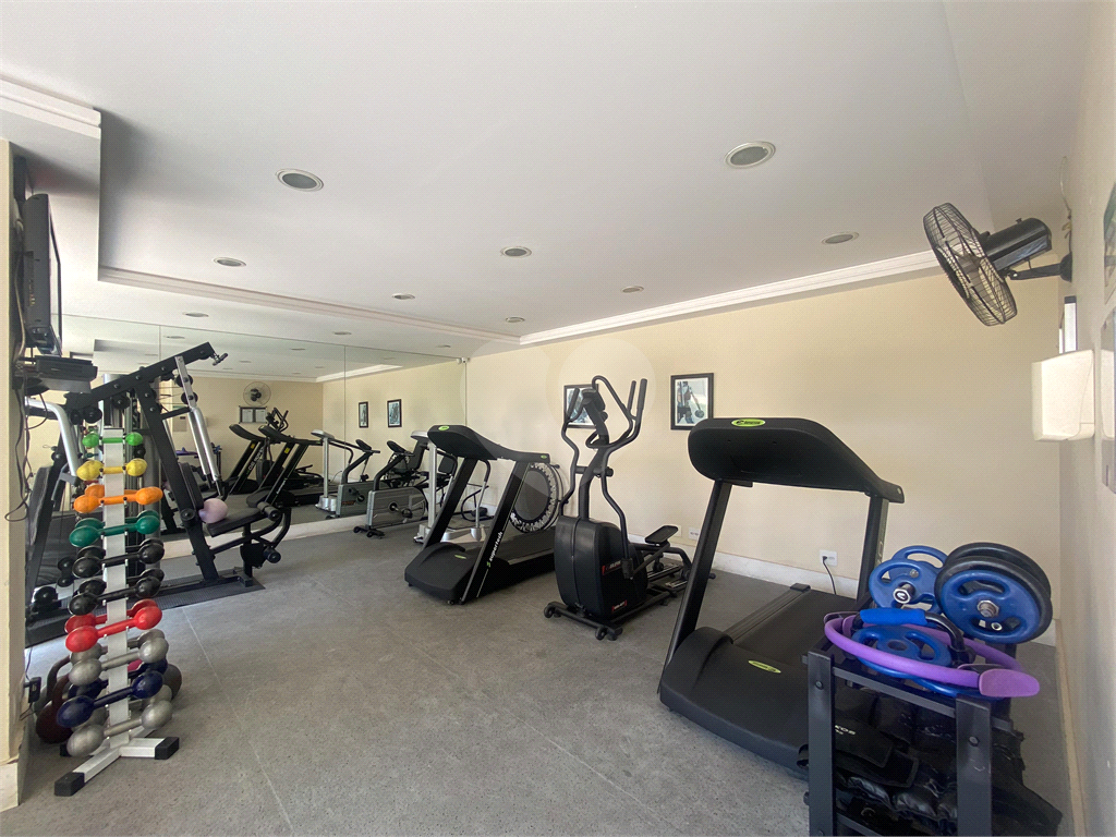 Apartamento para locação 