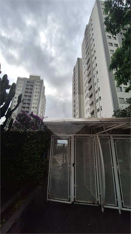 Apartamento para venda no Mandaqui