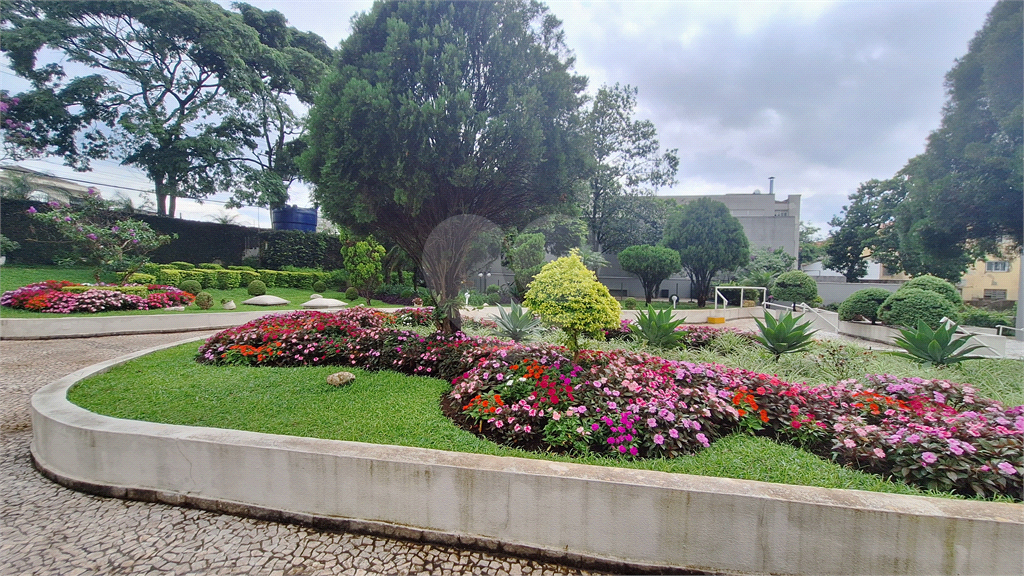 Apartamento para venda no Mandaqui