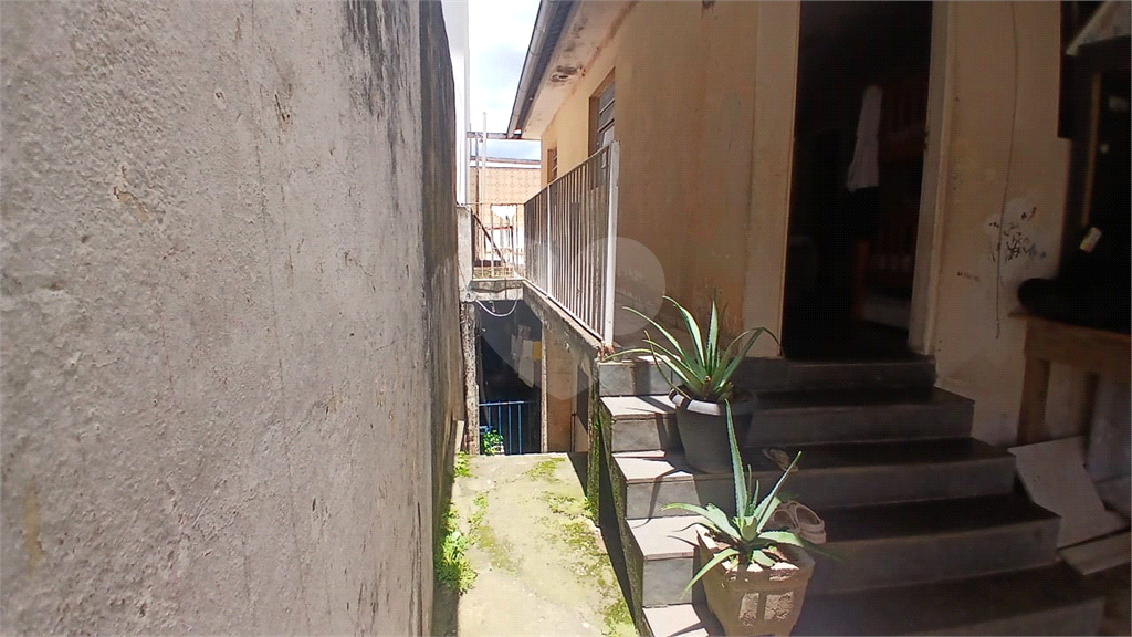 Terreno / Casa - Campo Limpo - 250 m² - 3 Casas - Venda / Compra