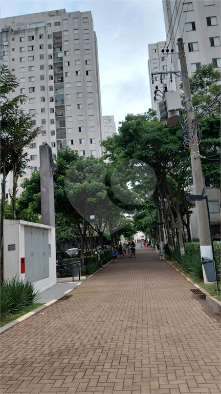 Apartamento de 3 dormitórios para alugar em Cocaia – Guarulhos