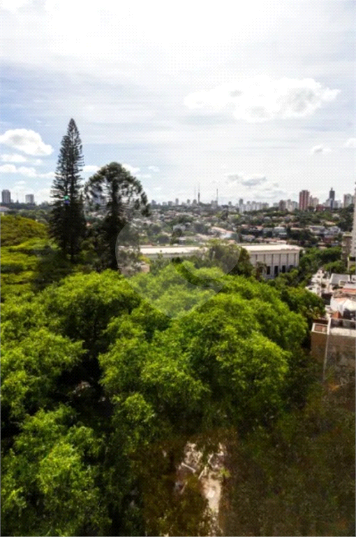 Higienópolis: 2 suítes, varanda envidraçada e vista aberta