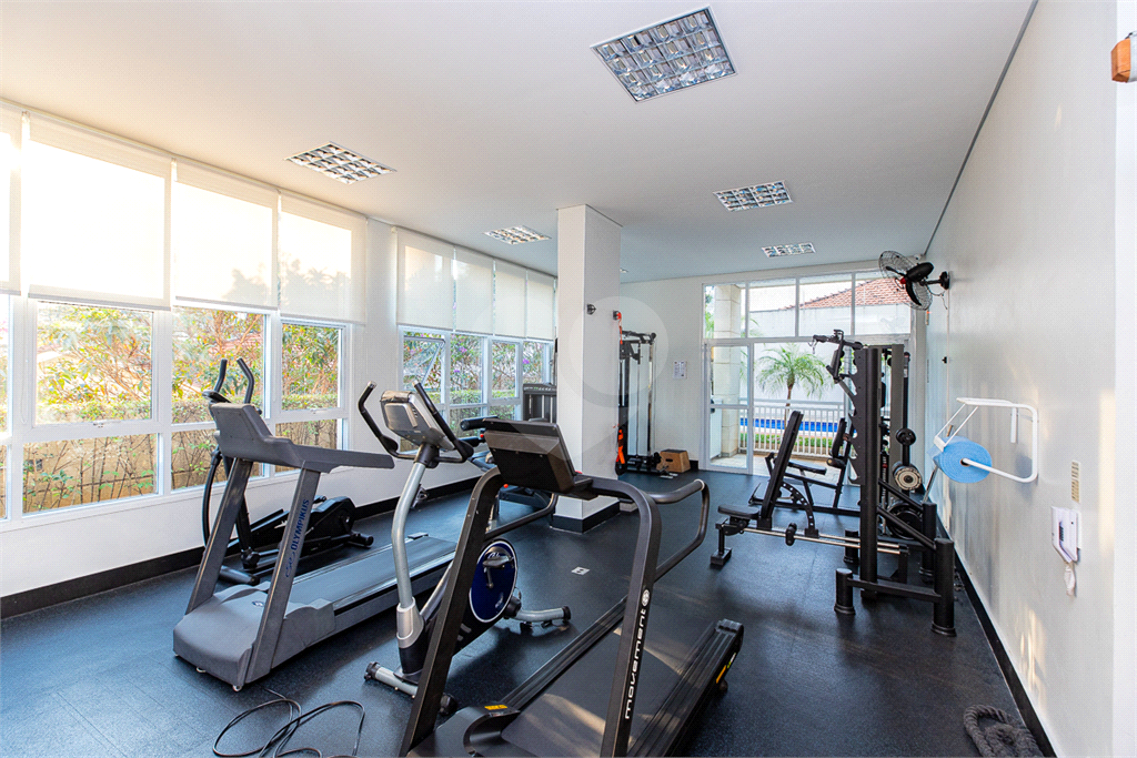 Apartamento - Vila Mariana - 3 Quartos / Dormitórios - 2 Vagas - Venda / Compra