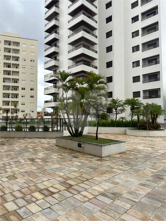 Lindo apartamento prox da Av Agua Fria, 168 m2 3 dormitorios, sendo 1 suite