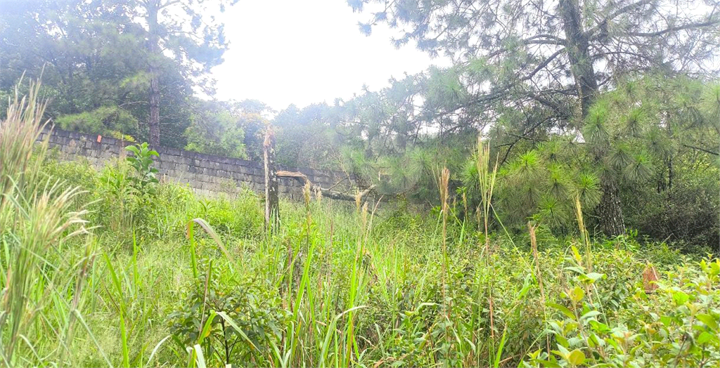 Terreno Mairiporã 1.450 metros , vista privilegiada  para serra da cantareira.