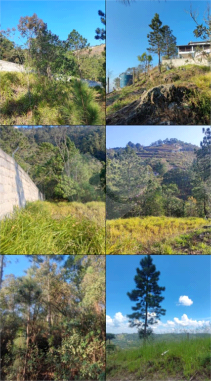 Terreno Mairiporã 1.450 metros , vista privilegiada  para serra da cantareira.