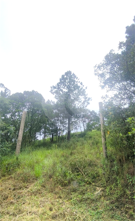 Terreno Mairiporã 1.450 metros , vista privilegiada  para serra da cantareira.
