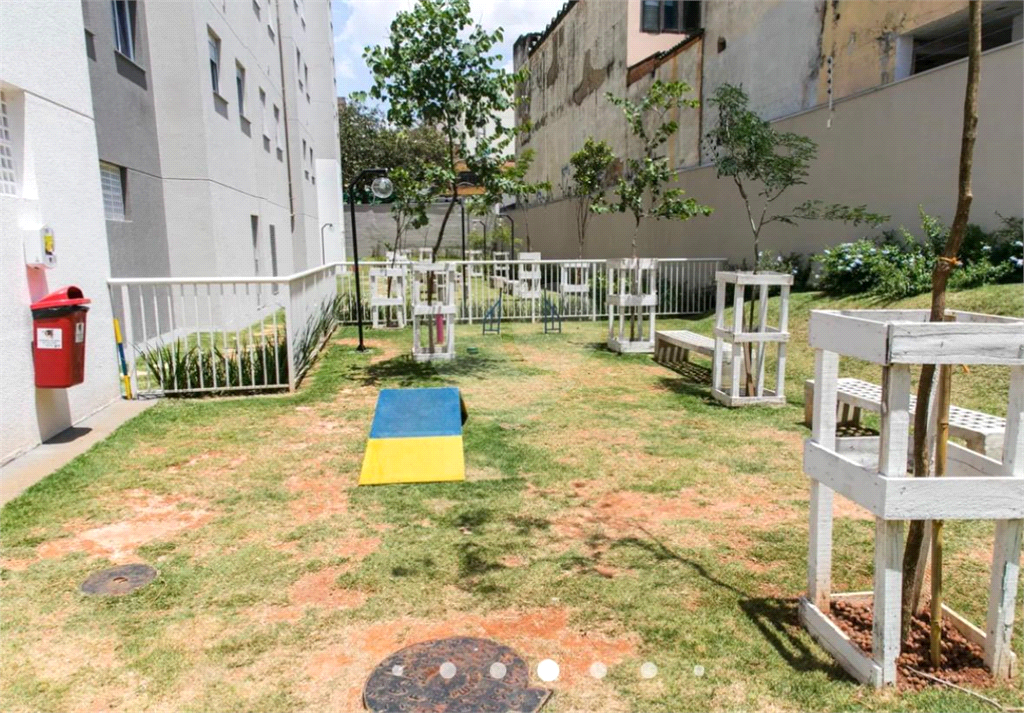 Apartamento Tucuruvi