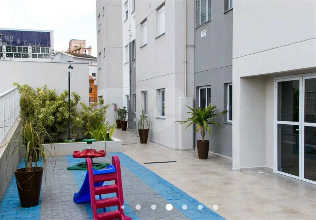 Apartamento Tucuruvi