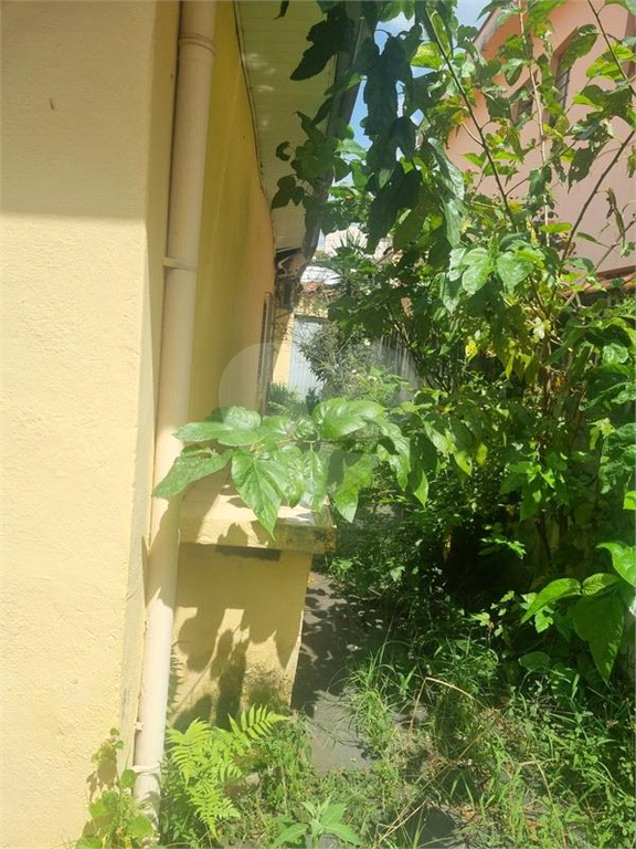 CASA TÉRREA COM4 QUARTOS NO TUCURUVI