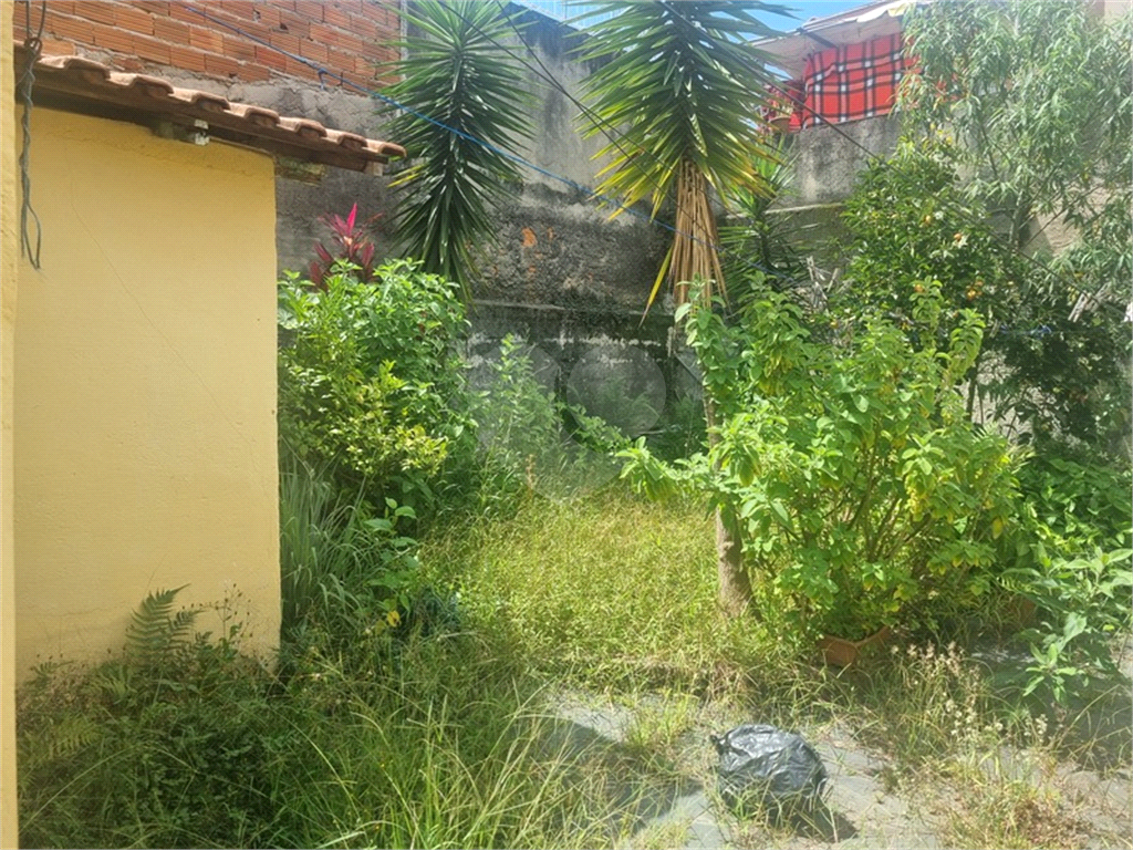 CASA TÉRREA COM4 QUARTOS NO TUCURUVI