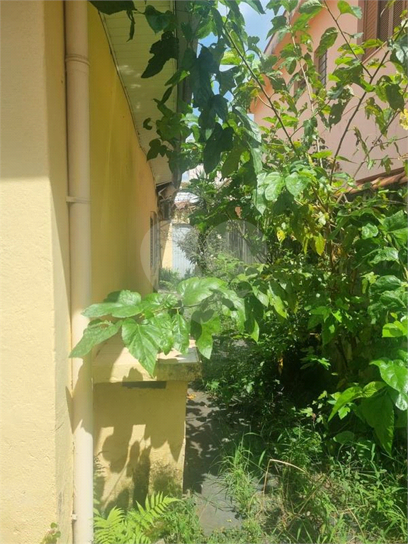 CASA TÉRREA COM4 QUARTOS NO TUCURUVI