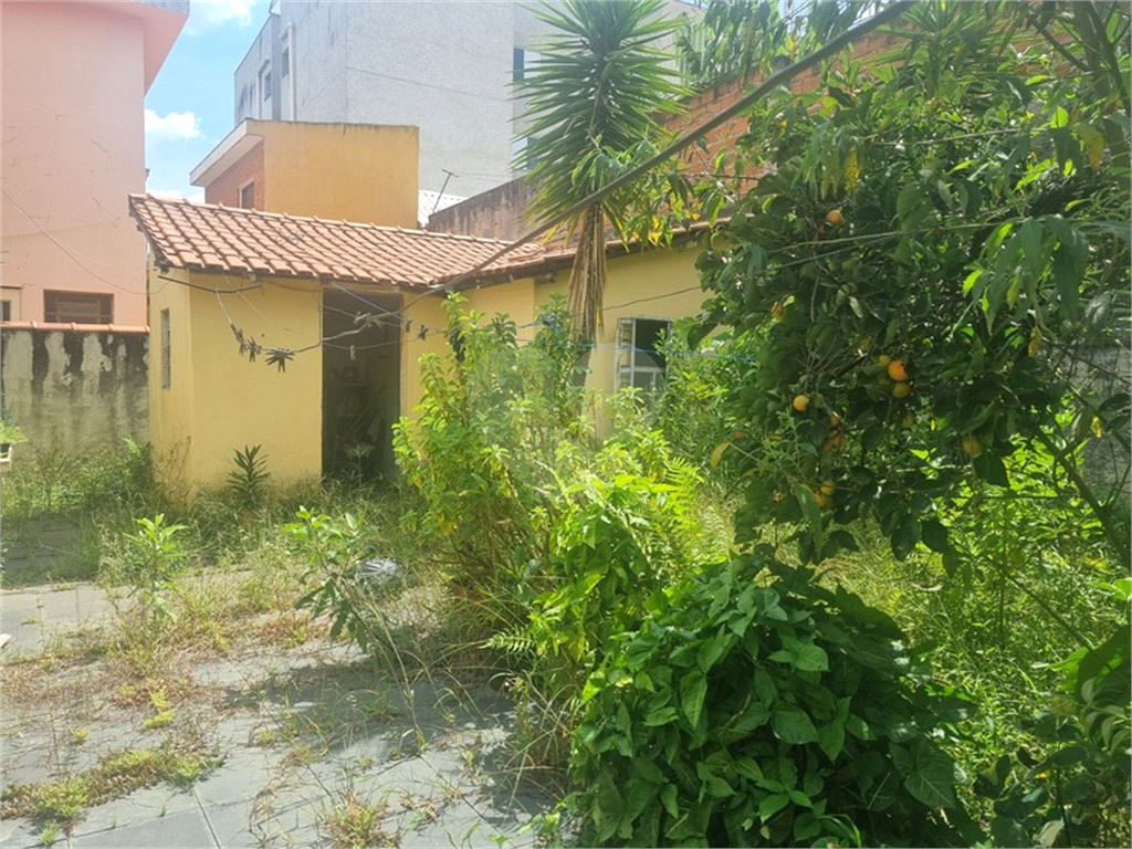 CASA TÉRREA COM4 QUARTOS NO TUCURUVI