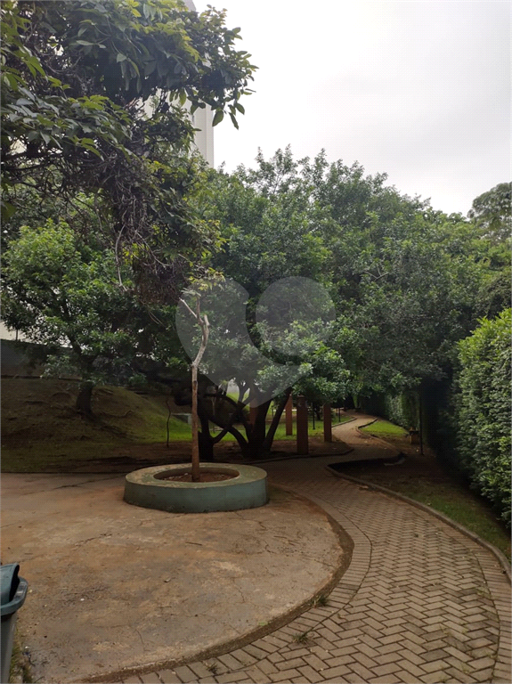 APARTAMENTO 2 QUARTOS CACHOEIRINHA