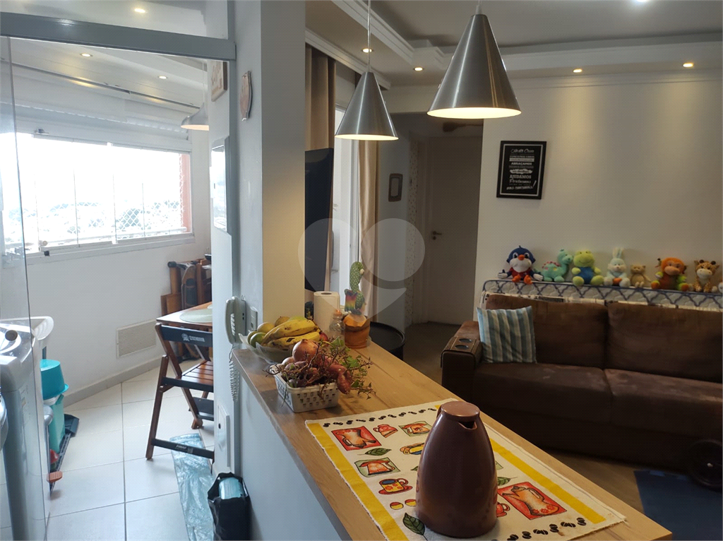 APARTAMENTO 2 QUARTOS CACHOEIRINHA