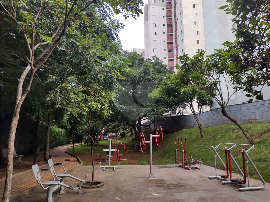 APARTAMENTO 2 QUARTOS CACHOEIRINHA