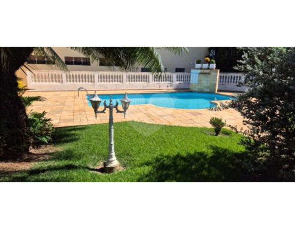 LINDA CHACARA EM HOLAMBRA / ARTHUR NOGUEIRA