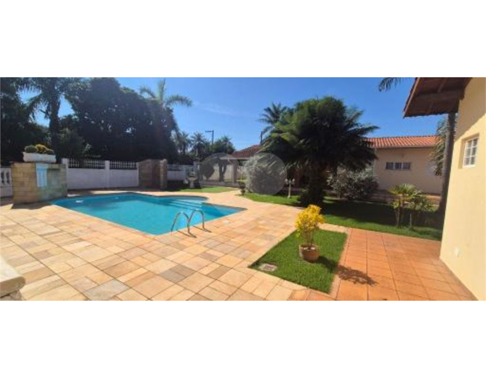 LINDA CHACARA EM HOLAMBRA / ARTHUR NOGUEIRA