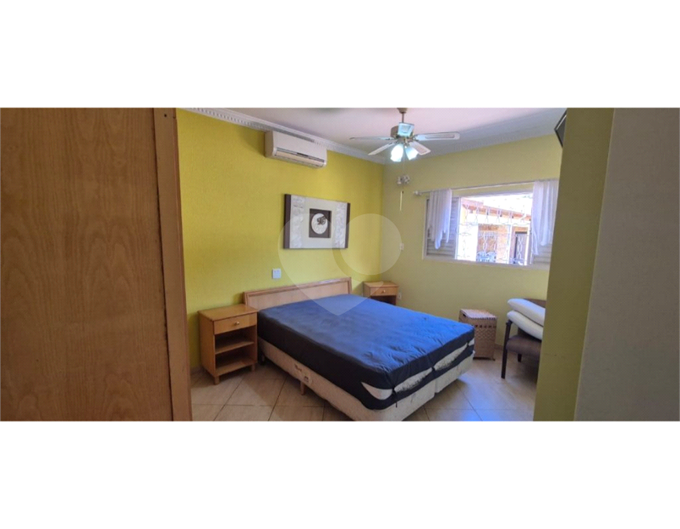 LINDA CHACARA EM HOLAMBRA / ARTHUR NOGUEIRA