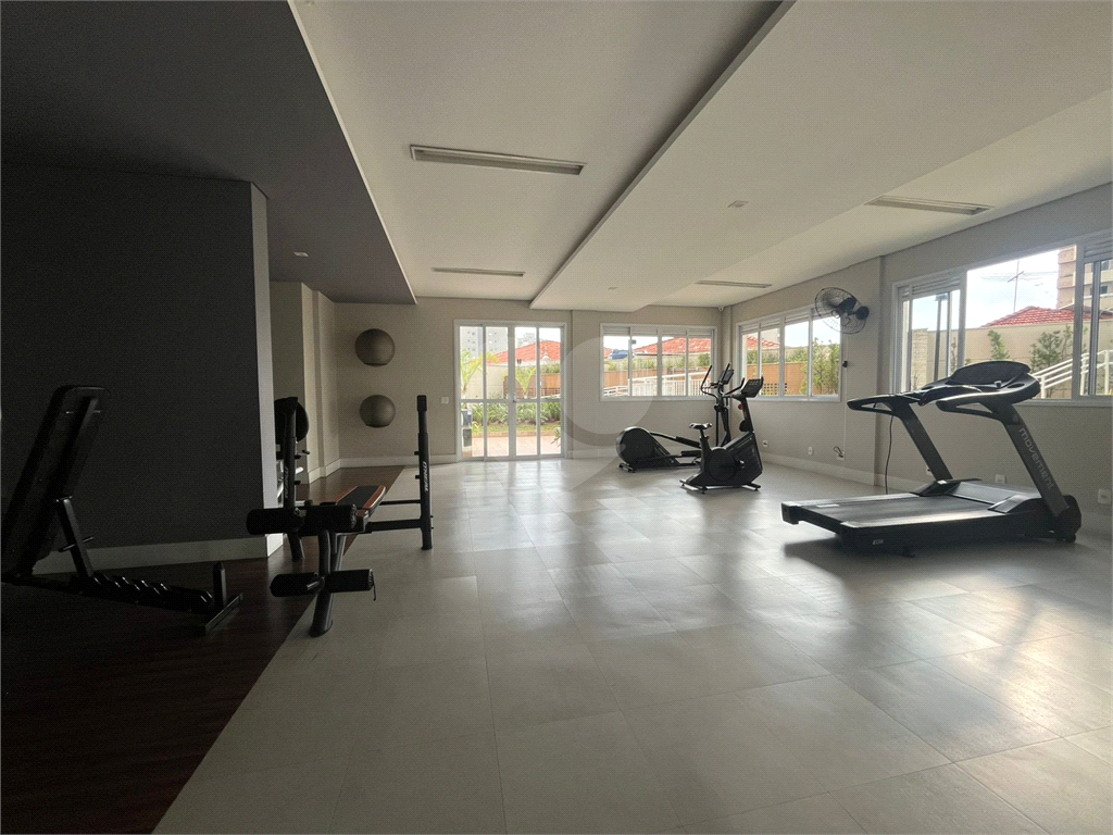 Apartamento 85 Metros 3 Dormitórios Varanda Gourmet 2 Vagas - Pq Mandaqui