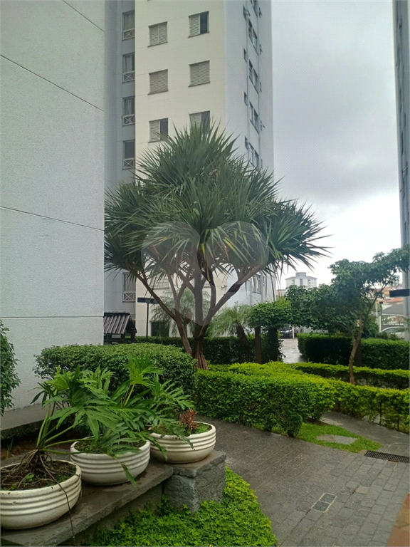 Apartamento Residencial FREGUESIA DO Ó