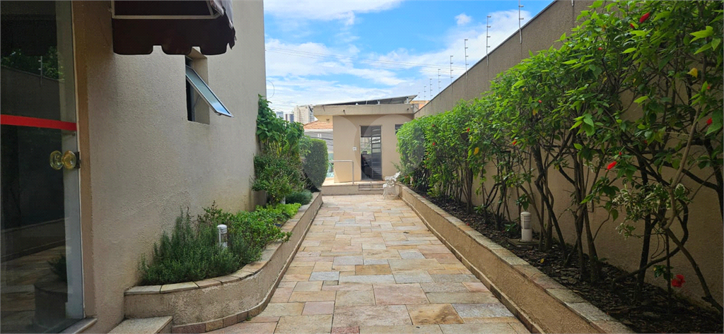 Apartamento à venda 3 quartos 1 suíte no Jardim da Saúde