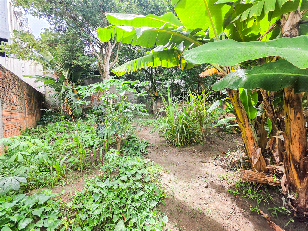 Terreno - Jardim da Glória - 600 m² - Venda / Compra